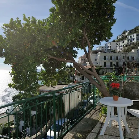Blue Flowers A * Amalfi
